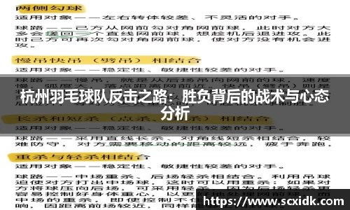 杭州羽毛球队反击之路：胜负背后的战术与心态分析