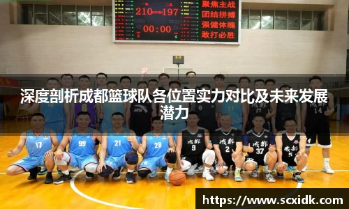 深度剖析成都篮球队各位置实力对比及未来发展潜力
