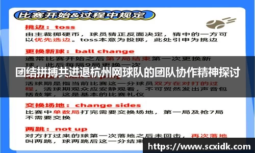 团结拼搏共进退杭州网球队的团队协作精神探讨