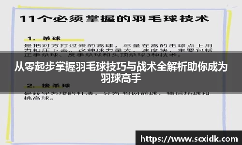 从零起步掌握羽毛球技巧与战术全解析助你成为羽球高手